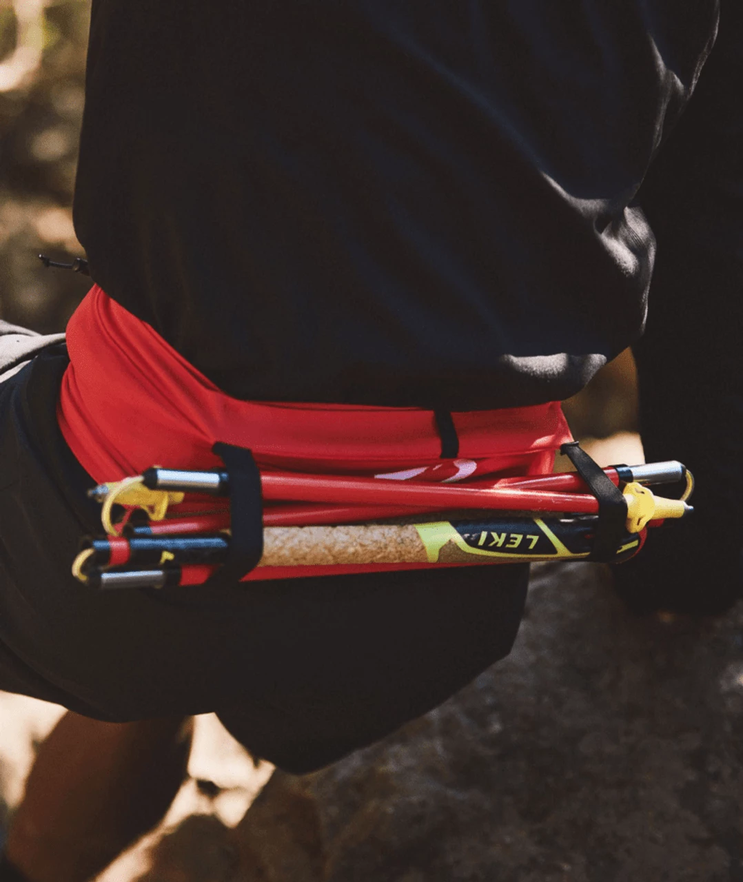 Compressport - Free Belt Pro - Unisex - Red - Image 6